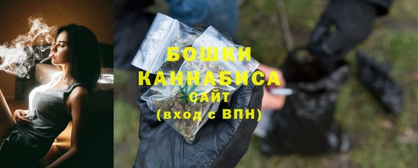 бошки Осинники