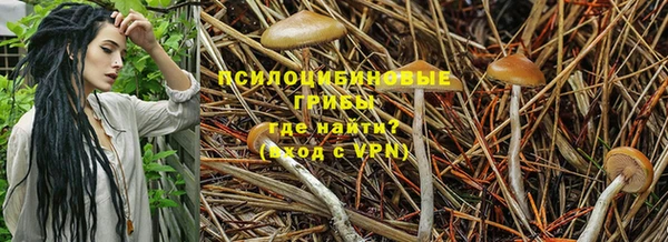 марки nbome Зерноград