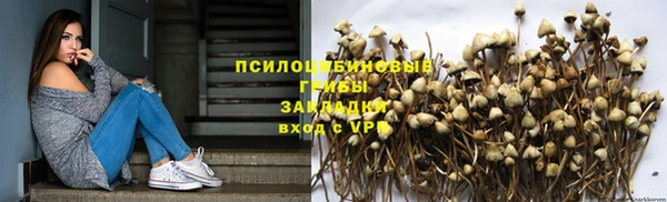 бошки Осинники