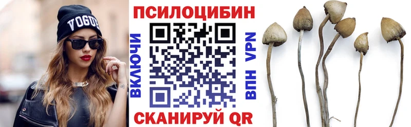 Псилоцибиновые грибы Psilocybine cubensis  цены наркотик  Бугуруслан 