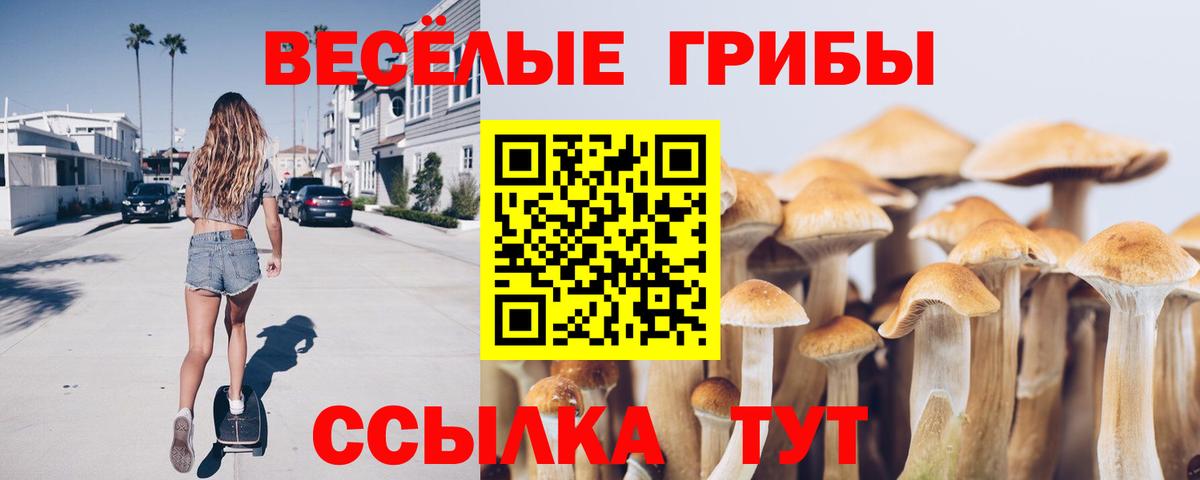 Псилоцибиновые грибы мухоморы Бугуруслан