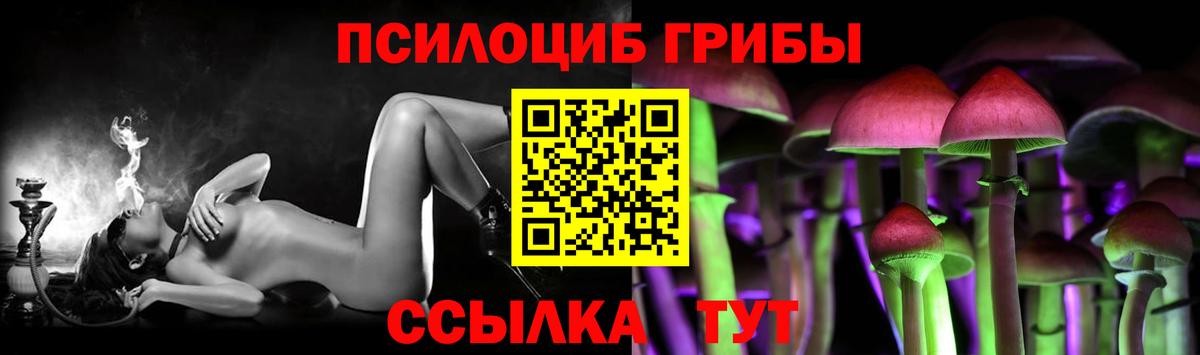 Галлюциногенные грибы Psilocybe  Бугуруслан 